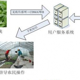 遠程大棚監(jiān)控物聯(lián)卡_流量卡